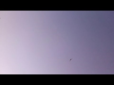 Maple seed glider test flight