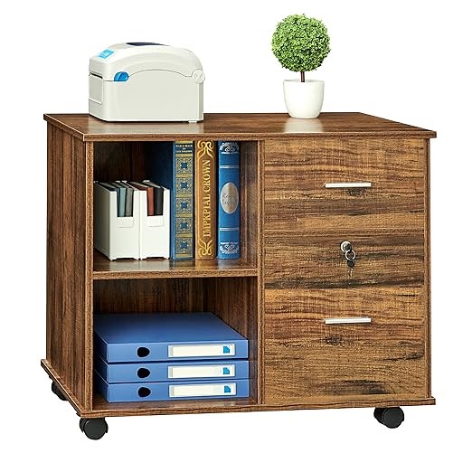 GreenForest  Lateral File Cabinet with Open Storage Shelves 
