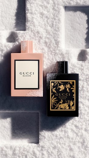 3.4K views | Enter a garden of dreams with Gucci Bloom Eau de Parfum, the original scent of the Gucci Bloom collection, and discover the new Gucci Bloom Parfum. The perfect gifts to step into a world of enchantment. Available online & in-store at Edgars Beauty. | Edgars Beauty | Facebook
