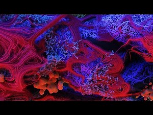 Masters Chapter 05 - Cosmogony | Y22/23