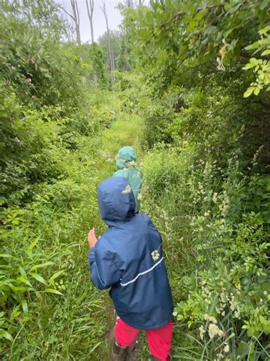 1.5K views · 56 reactions | Ashley Graham on Reels | Facebook