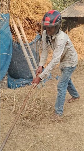 Amazing Power Tiller Driving Video | Power Power Tiller,Cultivation and Tractors