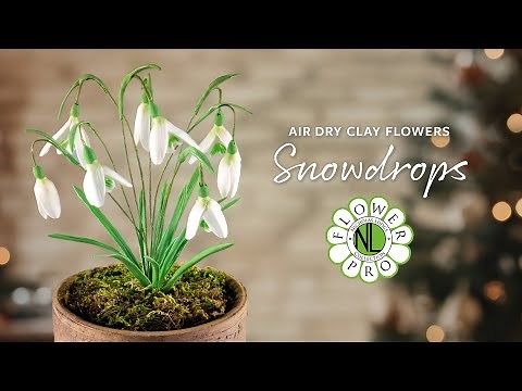 Clay Flower Making: Crafting Snowdrops With Chef Nicholas Lodge