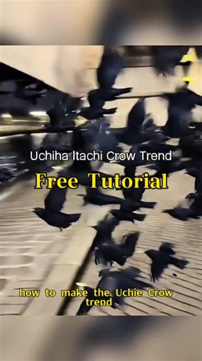 how to do the uchiha tutorial itachi uchiha crows tutorial itachi turns into crows itachi uchiha calling crows itachi uchiha army of crows itachi using his crows how to use itachi crows in storm how to do Itachi Uchiha crow tutorial how to do Uchiha jutsu tutorial Itachi Uchiha crows edit tutorial how to use Itachi crows in Naruto Storm how to edit Itachi turning into crows in CapCut Itachi Uchiha crow clone effect tutorial Itachi cosplay crow summoning edit guide Itachi crows genjutsu CapCut ef