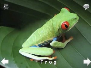 Animal Sounds and Spell HD (iOS and Android)