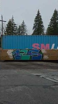 CN 8931, 2516 Westbound intermodal container in well car train slowing down for a leaking air line