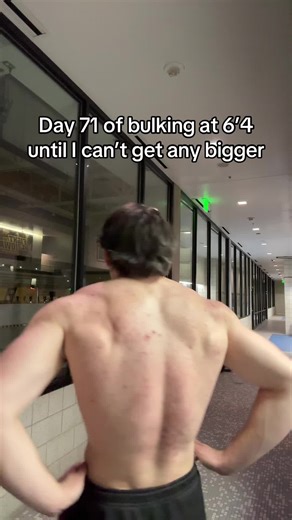 Around 232 #bodybuilder #gymtok #gymtransformation #bulk #bulking