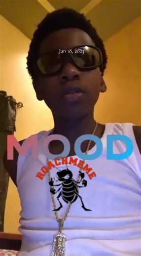 ROACHMEME (@roachmeme868)’s videos with original sound - ROACHMEME