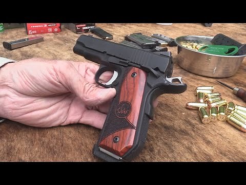 Dan Wesson Guardian 1911 .45 ACP