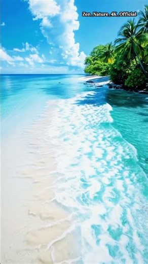 4K Tropical Beach with White Sand & Crystal Turquoise Water