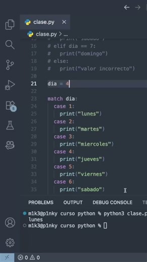 Ejercicio con la sentencia match en python.