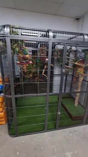 Aketis new cage! #birds #parrots #macaw #budgie #cockatiel #lorikeet #indianringneck #eclectus #blackcockatoo #lovebird #parrotlet #alexandrine #majormitchell #alexandrine #finch #canary #caique #amazonparrot #africangrey #sunconure #greencheekconure #birdstore #birdshop #petstore #brisbane