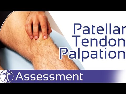 Patellar Tendon Palpation | Patellar Tendinopathy