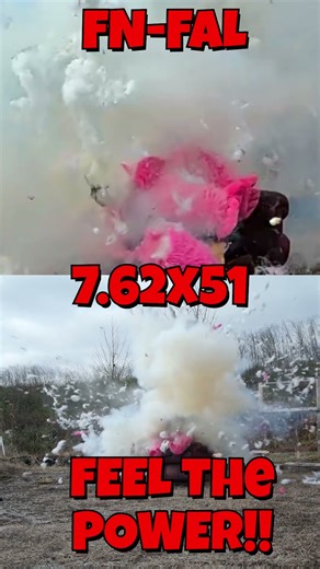 FN-FAL Gorilla Hunting