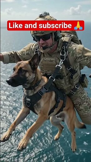 "GO! GO! GO!" Elite Belgian Malinois Jumps From a Black Hawk! 🚁🐕🪂