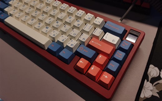 Matrix corsa65枣红分享