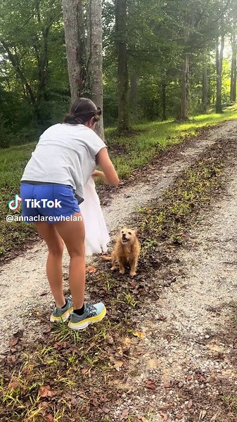 Happy Spooky Season with Dogs in Costumes