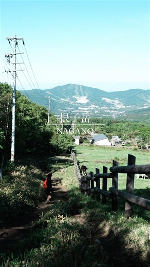 牧場を横目に登る根子岳⛰️#登山#shorts #japan #mountains #hiking