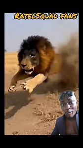 Warthog equip him self with a missile launcher as he blows the lion 🦁 out of its hole | Ratel Sqard fans