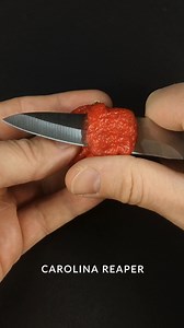 130K views · 2.4K reactions | Time-lapse compilation. Carolina Reaper, Cucumber, Dwarf sunflower, Tobacco and Carambola growing from seed. | Boxlapse | Facebook