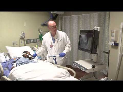 Finding the Transgastric Short Axis View (TGSAV) : hTEE by ImaCor