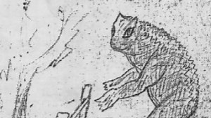 未知生物：拉夫兰青蛙人