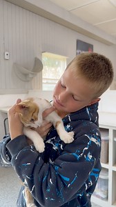 70K views · 4.8K reactions | Dorito update!!! #fluffyfeatherfarm #doritothecat | Fluffy Feather Farm | Facebook