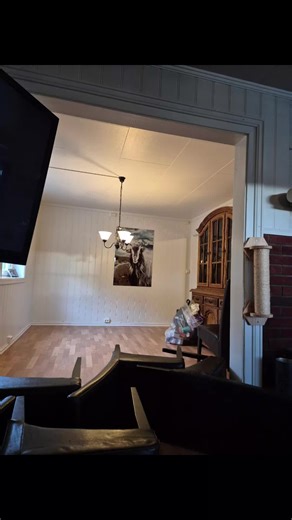 Creating a Cozy Home Library in Norway