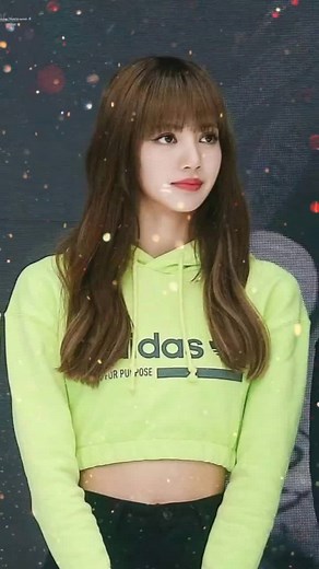 Reflecting on 2019: A Colorful Journey