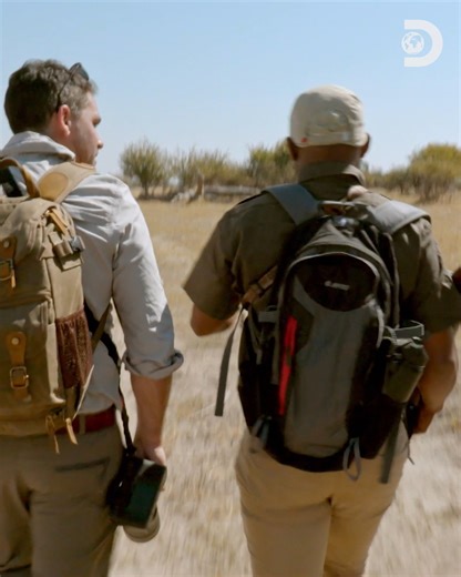 Next week, join Levison Wood and Kane Motswana as they take us on a stunning journey across Botswana 🇧🇼 on the Discovery Channel. 🐘🌍 Tune in to witness the world's largest elephant migration in 'Walking With Elephants' on Wednesday, 16 April at 20:05 CAT! #DiscoveryChannel | Discovery Channel Africa