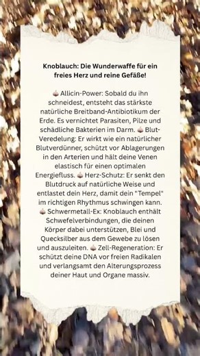 Das Geheimnis der 100-jährigen: Warum das deine Gefäße rettet! #sabinefrieden #spiritualität