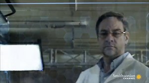 10 Incredible Facts About Crocodile Eyes - Africa Freak