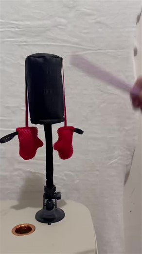 video, Cat Interactive Punching Bag Toy Favorite Playmate