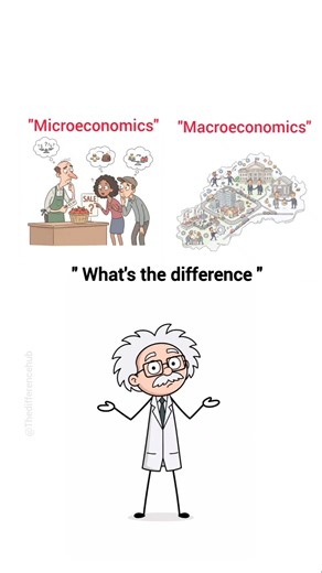Microeconomics 🔍📊 Vs Macroeconomics 📈🌍#micro#macro#economics #knowledge#explore#education