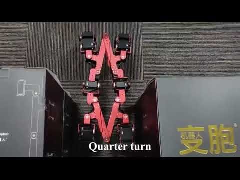 Origaker: The Shape-Shifting Robot Inspired by Origami and Evolution