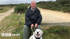 Hampshire: Dog owners warned about dangers of adder bites