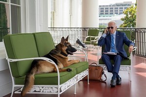 Commander | Commander Biden / Joe Biden's Dog