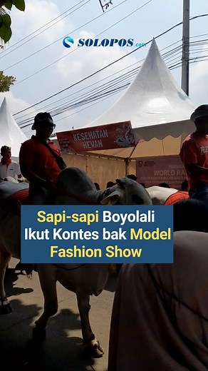 1.2K views | Layaknya model yang sedang memeragakan busana di acara...