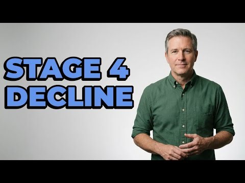 What Is Significant Functional Decline In Stage 4 Parkinson's?