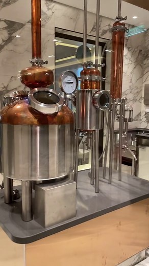 Check Out This Gin Distillery On A Cruise Ship