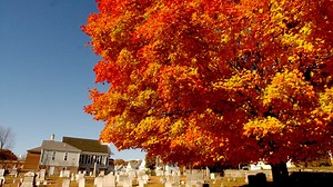 Fall Guide: 5 great R.I. places to leaf peep and photograph foliage