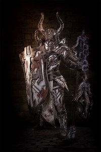 Diablo III Crusader Cosplay