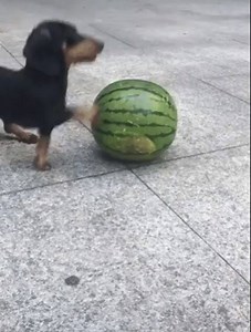 Matrix - right by your side on Reels | Facebook