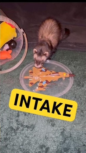 Engine Response Curve