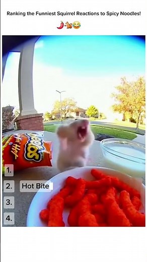 Ranking the Funniest Squirrel Reactions to Spicy Noodles! 🌶️🐿️😂 #ranking #funny #animalfood
