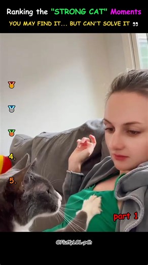 Strong Cat Part 1 😹😱 | Best Moments Ranked! #cat #shortsfeed #shortsviral #strongcat