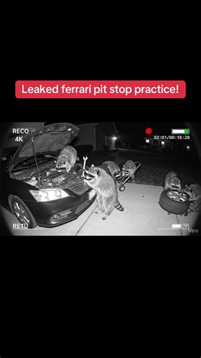 Ferrari's Impressive 10.9-Year Pit Stop Performance