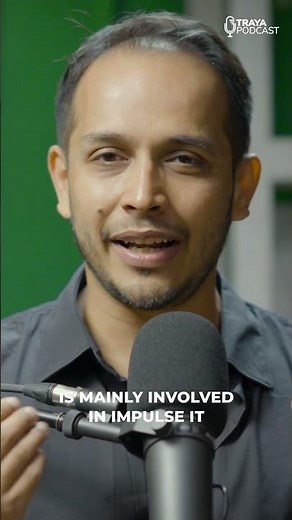 Prefrontal Cortex Vs Limbic Brain Function