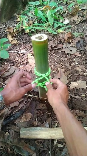 Pull Out Stuck Stakes Instantly with This Rope Trick! #knot #rope #shortsvideo