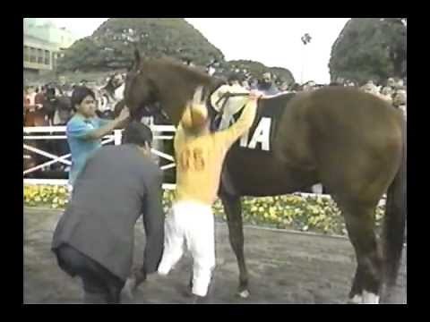 Jockey Bill Shoemaker - Final Race & Retirement